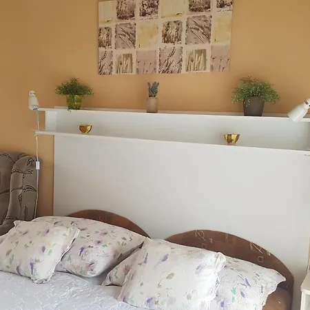 Lejlighed Szenczi Vendeghaz