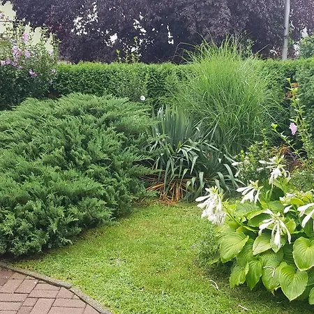 Szenczi Vendeghaz Appartement *