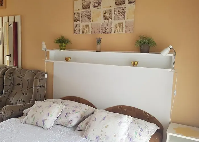 公寓 Szenczi Vendeghaz