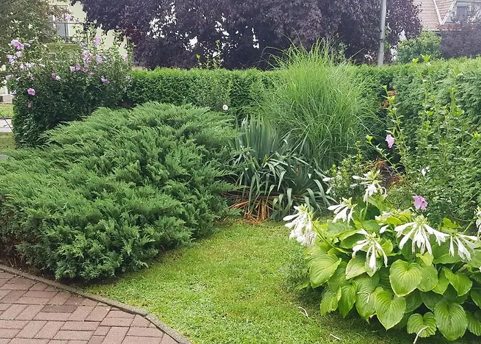 Szenczi Vendeghaz Lägenhet *