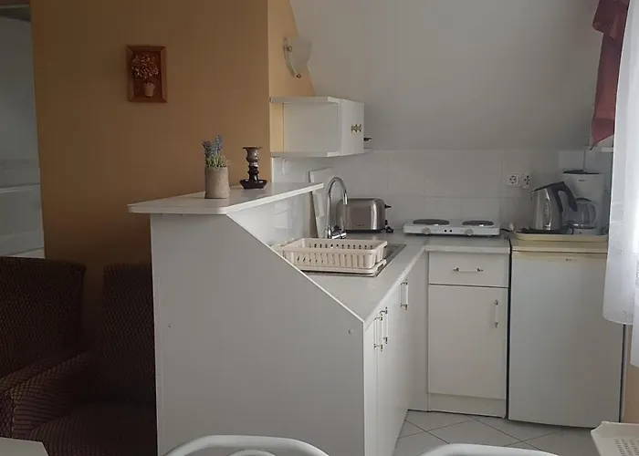 公寓 Szenczi Vendeghaz *