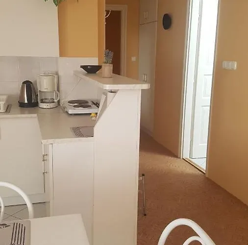 公寓 Szenczi Vendeghaz Bük