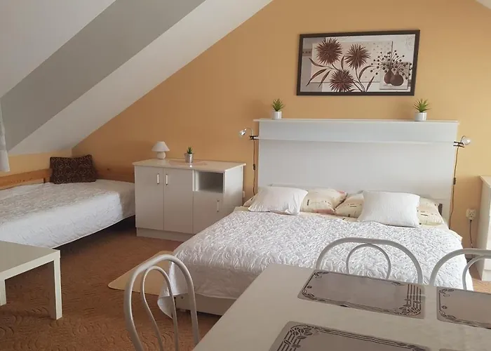 公寓 Szenczi Vendeghaz *