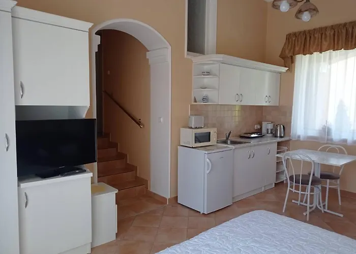 公寓 Szenczi Vendeghaz *