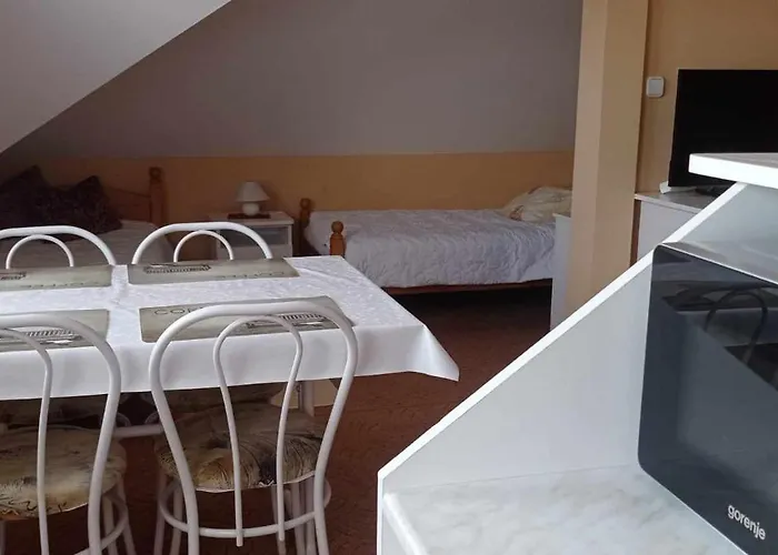 公寓 Szenczi Vendeghaz